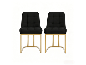 Chaises élégance lot de 2, rembourrées, chambre, cuisine, salon, bureau et salle d'attente
