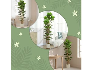 Plante artificielle ficus 180 cm – vert – 91 feuilles modulables, pot blanc à base cimentée et stable