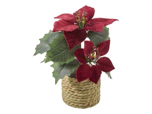 Composition de noël poinsettia en velours h. 20 cm