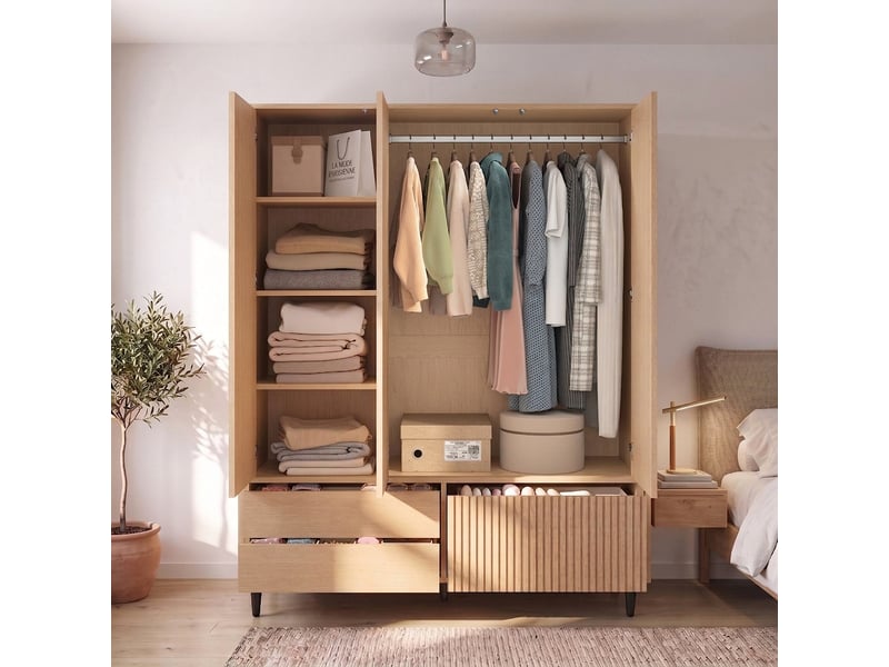  Armoire blanche étroite 50x30x200 cm penderie avec 2 tiroirs et barre 30 kg  - Conforama C