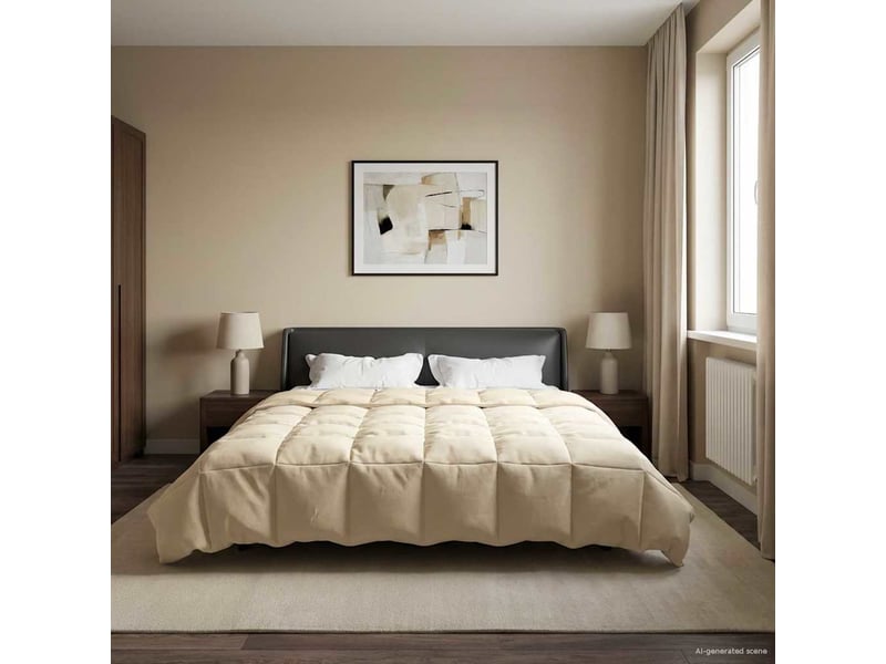 Couette - duvet d'été 220 x 240 cm été microfibre (100% polyester) - Conforama D