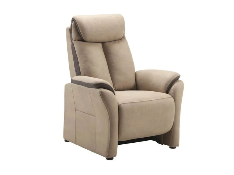  Fauteuil fixe new nobuck gris foncé et beige - odeon ODEON - Conforama A