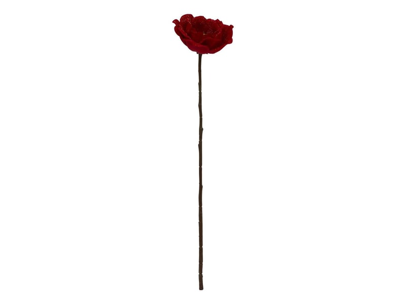  Bch coquelicot rge blc h70  - Conforama E