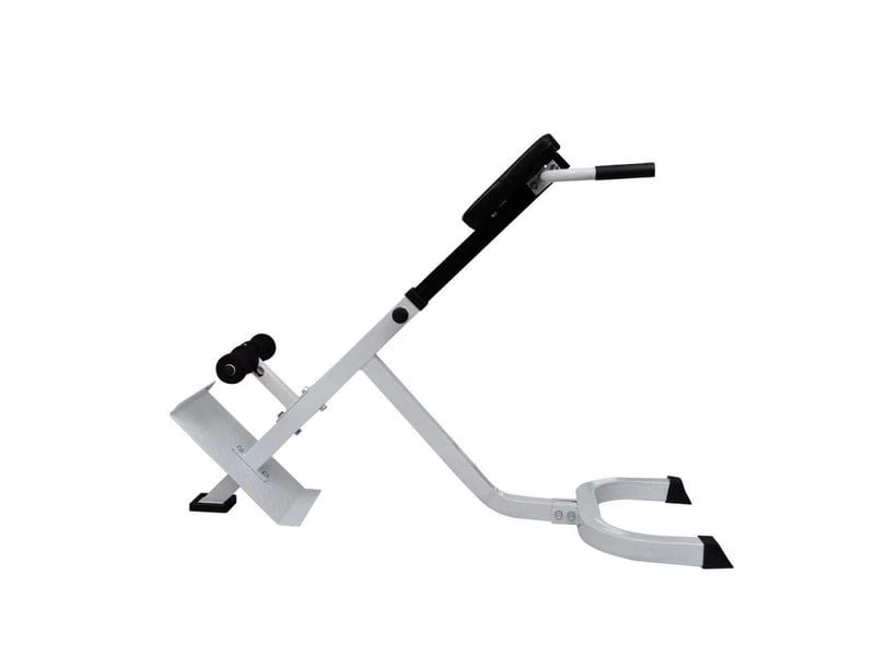  Banc de musculation du dos acier sport fitness musculation blanc et noir 02_0000032  - Conforama C