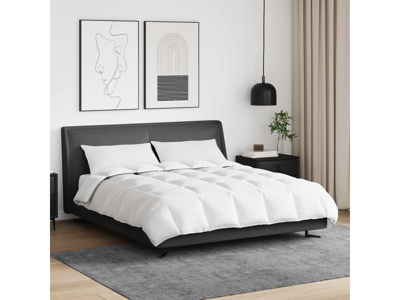  Duvet d'hiver avec oreiller 3 pièces - couette blanc plume de canard  - Conforama B