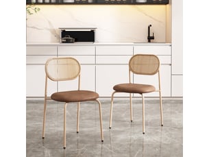 Lot de 2 chaises de salle à manger,46x40x80 cm,avec dossier en rotin,pu,marron