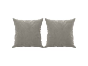 Lot de 2 coussins décoratifs gris clair 40x40 cm velours cf60865