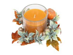 Bge pfm cdt automne 210g