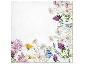 Paw decor collection - lot de 20 serviettes en papier de soie à 3 plis pour le découpage, 33 cm x 33 cm, (cadre à printemps)