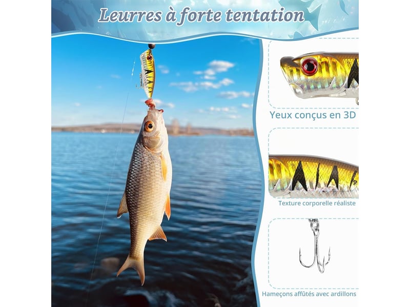 Calendrier de l’avent pêche 2026 pour homme, 24 leurres de pêche, calendrier de noël pour adulte et jeune pêcheur - Conforama C