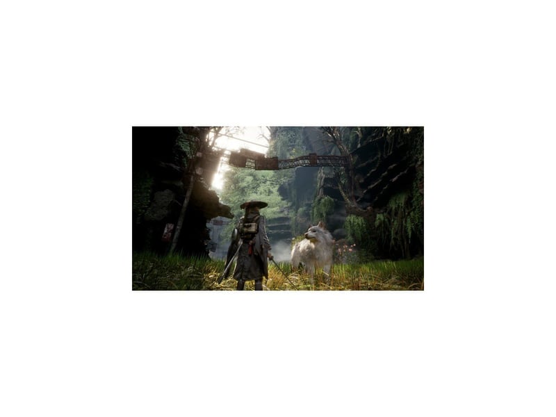  Action rpg ps5 beast of reincarnation, emma et koo, combat temps reel et tour par tour, edition standard pegi 16+ 884095231460 - Conforama B