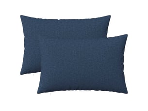 Lot de 2 coussins avec oreiller, coussins décoratifs heerlen bleu tissu cf50188