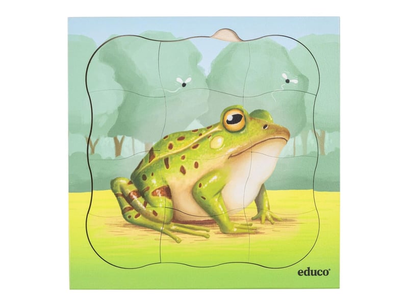  Educo dans la forêt - la grenouille pousse  31 pièces de puzzle 8719924063344 - Conforama C