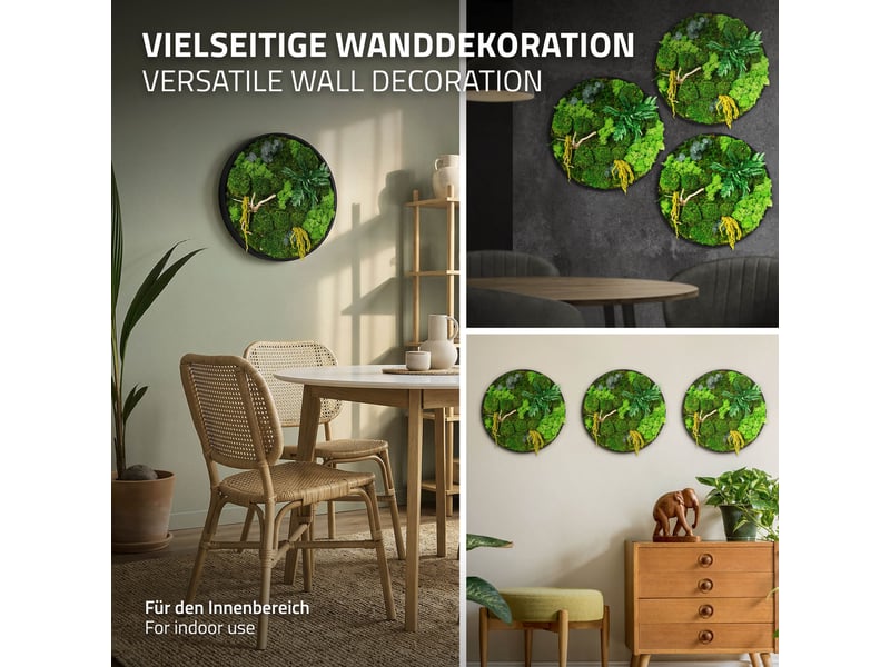 Ecd germany tableau végétal mural stabilisé, ø 40 cm, mélange de mousses avec eucalyptus, fougères et bois naturel, effet 3d, sans entretien, cadre mdf rond, décoration d'intérieur, style jungle ECD Germany GmbH - Conforama E