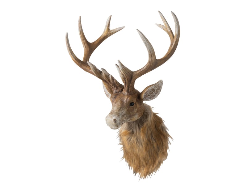  Trophée mural tête de renne ketty 48cm marron  - Conforama B