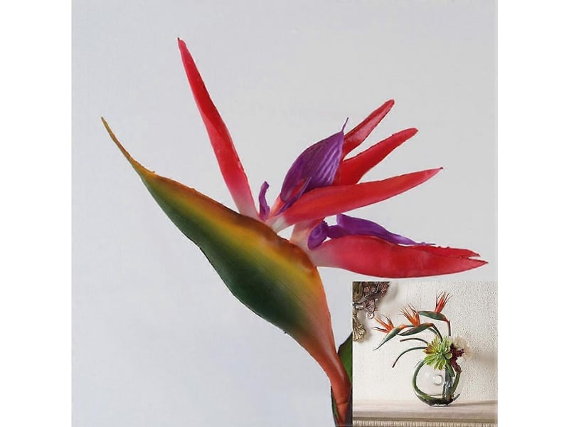  Décoration de mariage strelitzia reginae oiseau de paradis plante artificielle fleur artificielleorange  - Conforama B
