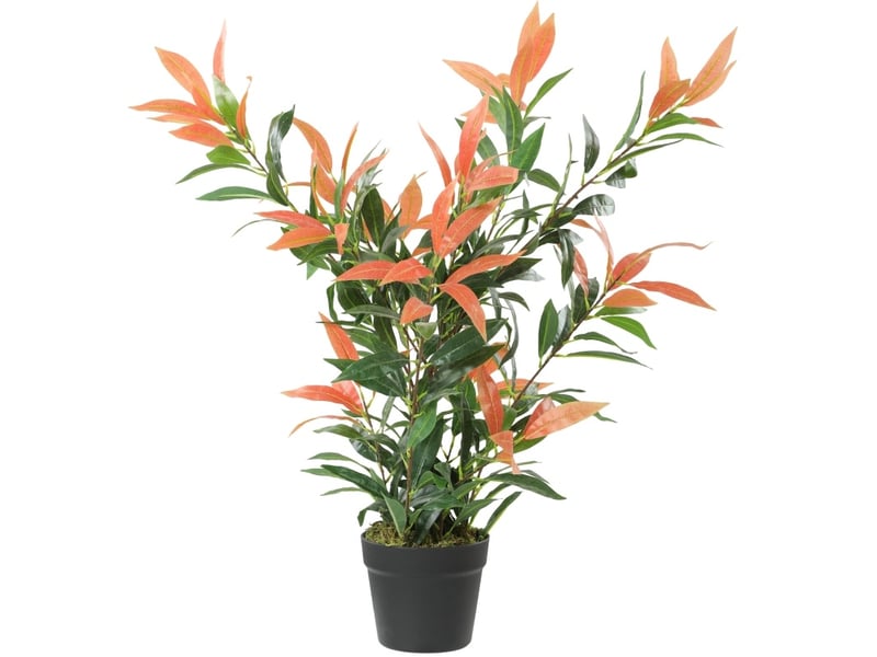  Plante artificielle 45x45x90 cm 300 feuilles rouges et vertes  - Conforama A