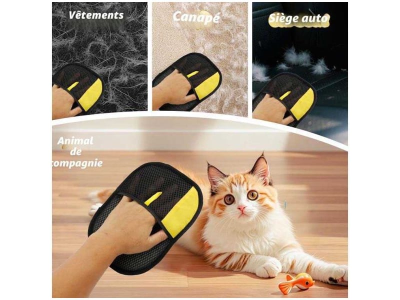  Set de 2 gants anti-poils d'animaux  - Conforama B
