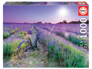 Puzzle 1000 pcs velo dans un champ de lavande
