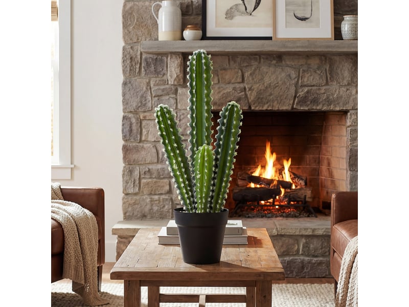  Cactus artificiel, 53 cm, plante artificielle en pot pour la maison ou le bureau  - Conforama D