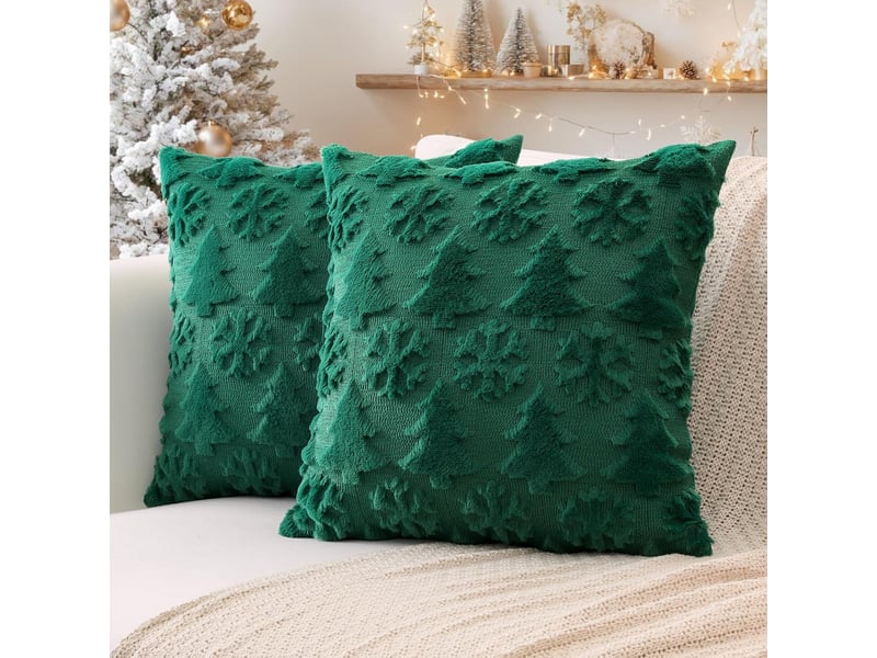  Lot de 2 housses de coussin 45x45cm, coton-polyester – fermeture éclair, pour canapé, lit et chaise-vert  - Conforama D
