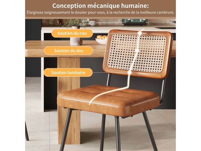  Lot de 2 chaises de salle à manger en cuir synthétique pu dossier cannage pieds en métal rétro  - Conforama C