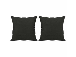 Lot de 2 coussins décoratifs noir 40x40 cm tissu cf60880