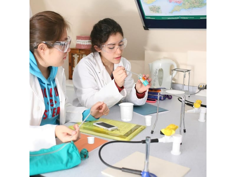  Lot de 6 doseur plastique 2550100150250500ml bécher gradué tasses à mesurer résistant à la chaleur transparent pour test en laboratoire  - Conforama E