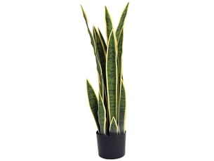 Plante sansevieria artificielle, grande taille (77 cm), plante artificielle en pot pour salon, cadeau