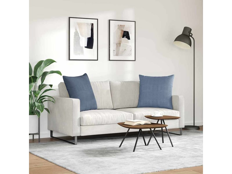  Lot de 2 coussins de canapé, coussins décoratifs bleu 80 x 80 cm cf59013  - Conforama D