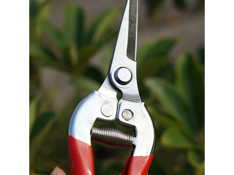 Sécateur, ciseaux tout usage, sécateur outil de coupe, adapté à la taille des branches dans le jardin et à la taille des fleurs(rouge) - Conforama B