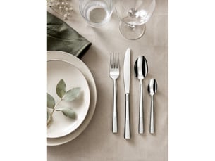 Ménagère léna 24 pièces pradel excellence acox015024