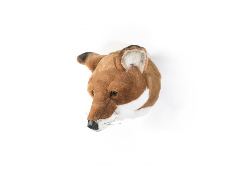 Trophée peluche louis le renard  - Conforama C