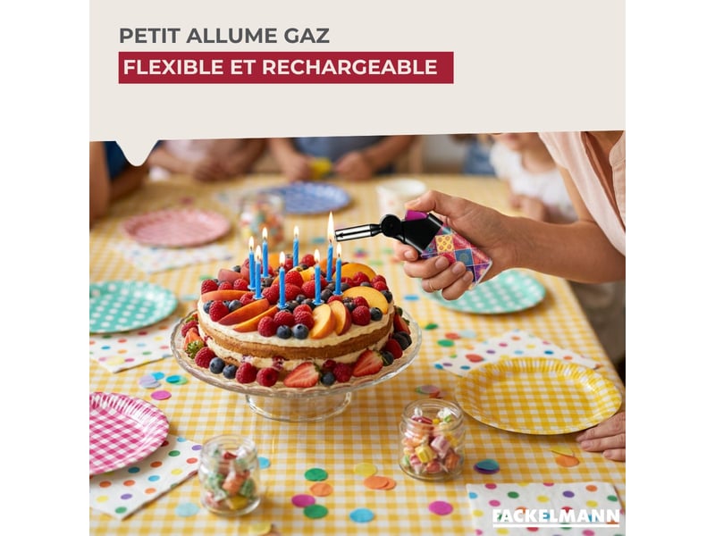  Petit allume gaz flexible fackelmann tecno 1408250 - Conforama B