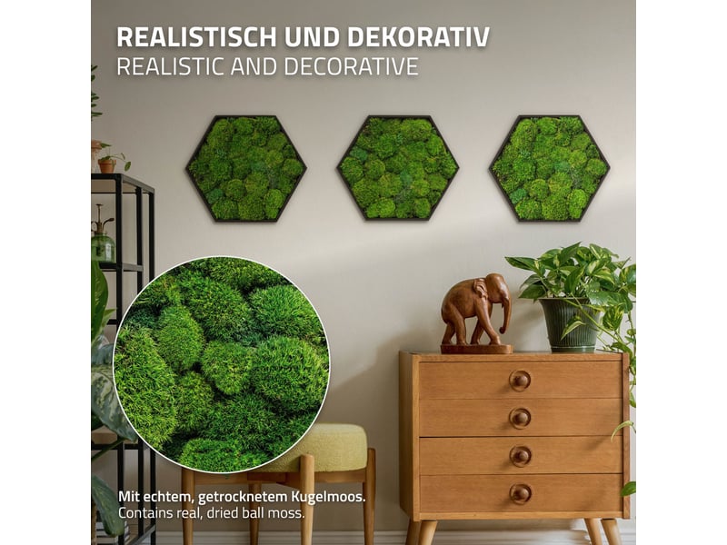 Ecd germany tableau en mousse boule stabilisée véritable, forme hexagonale 38 x 34 cm, vert, décoration murale végétale d'intérieur, cadre en bois, sans arrosage ni entretien, effet 3d, pièce unique ECD Germany GmbH - Conforama C