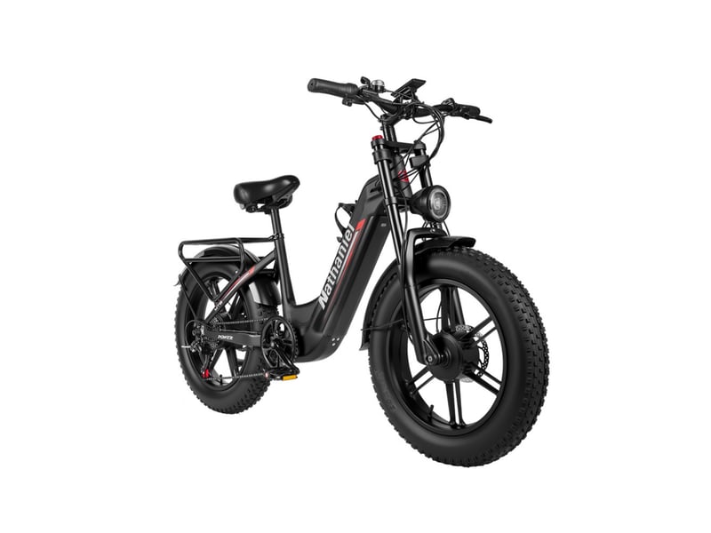  Vélo électrique double moteur nathaniel syr08, fat bike 20, noir  - Conforama E