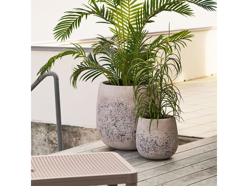  Dracaena décoratif artificiel hauteur 68cm - caena CAENA - Conforama B