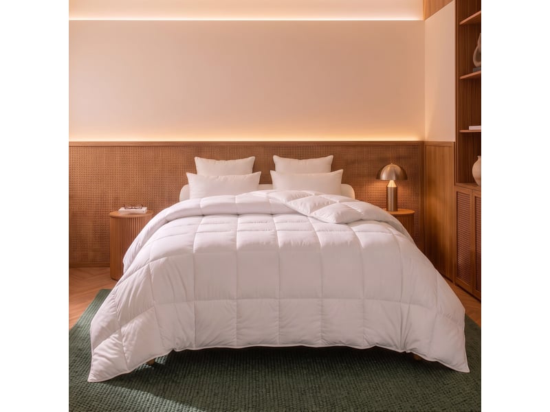  Dodo - couette 240x260 thermoduv canard - 70% duvet - tempérée  - Conforama C