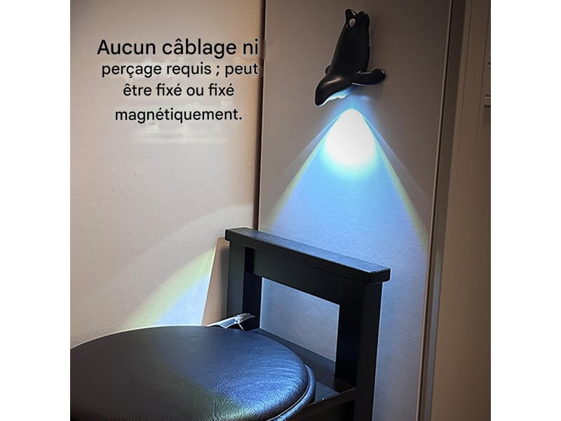 Générique lumière à détecteur de mouvement intérieur, lampe de garage en forme d'otarie, murale pour couloir pour placard salon entrée bureau, noir - Conforama E