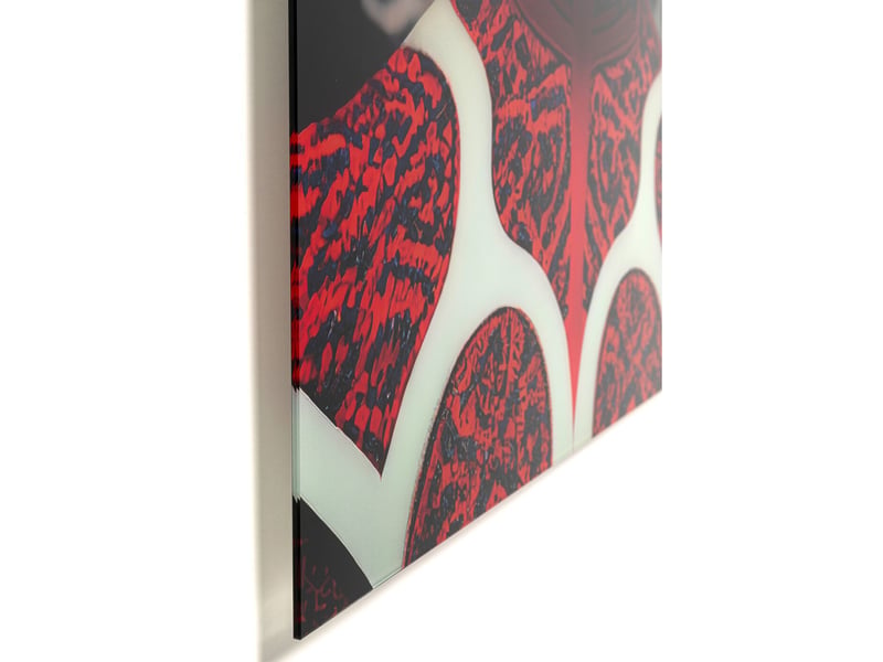 tableau en verre vibe femme 55x75cm  - Conforama E