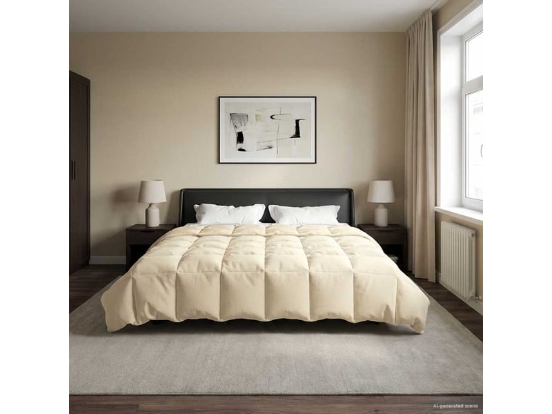 Couette - duvet d'été 200 x 220 cm été microfibre (100% polyester) - Conforama D