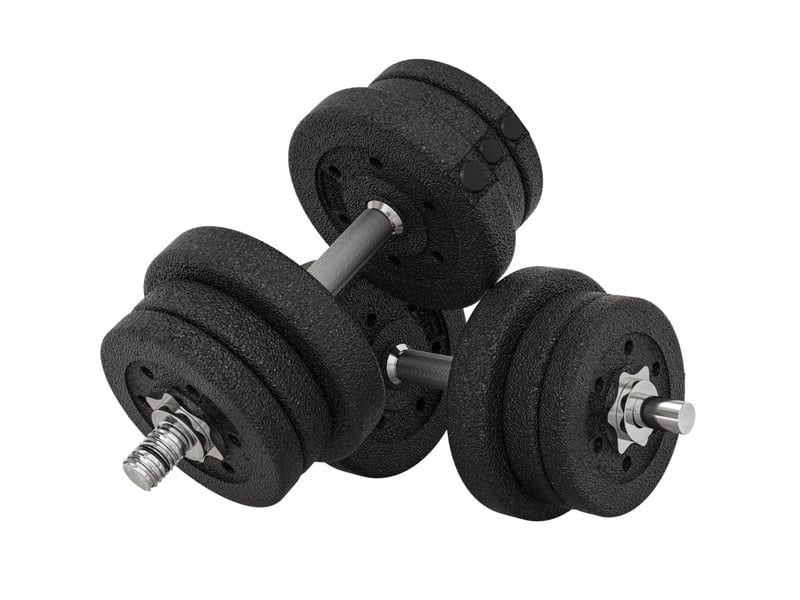  Jeu d’haltères 25 kg 45x21x21 cm antidérapant métal noir  - Conforama A