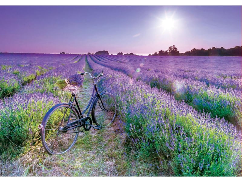  Puzzle 1000 pcs velo dans un champ de lavande 19255 - Conforama B