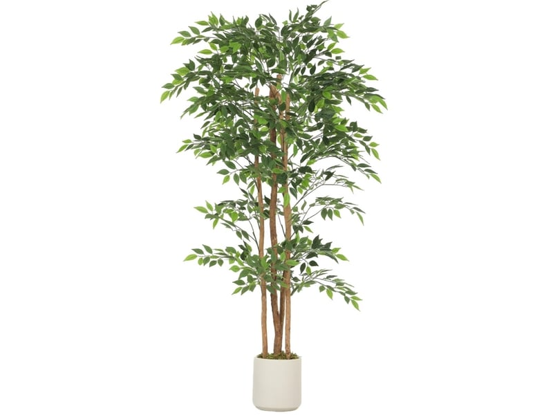  Arbre artificiel banyan 75x75x180 cm vert  - Conforama A