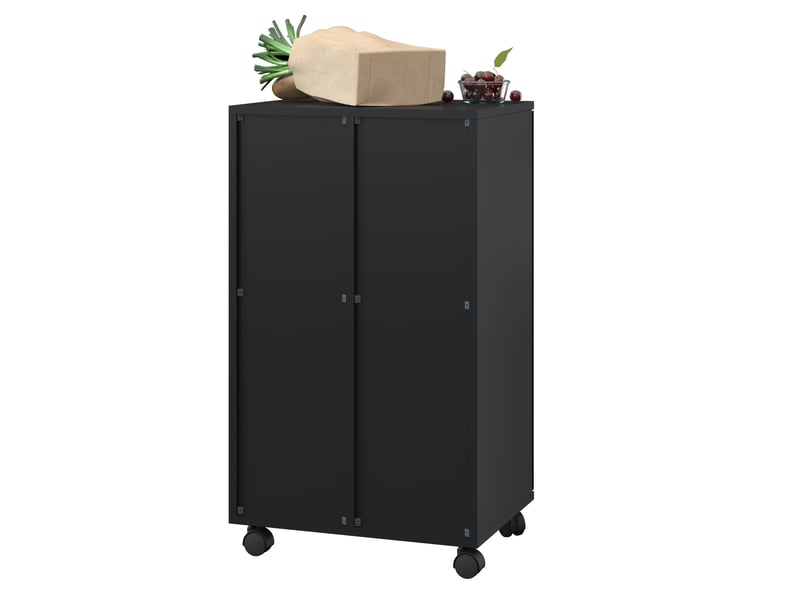 Meuble de tri des déchets 2 compartiments à roulettes 46,7x35x80 cm noir - Conforama E
