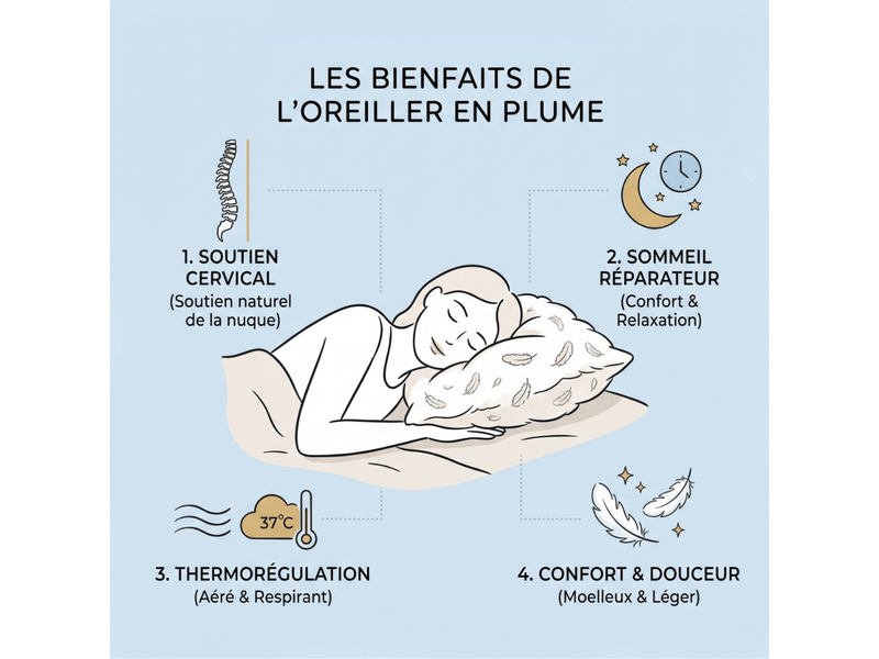  Oreiller hôtel 100% plume de canard déhoussable - 60 x 60 cm - housse jacquard - collection plume hôtel C07-ORP05 60/60 - Conforama D