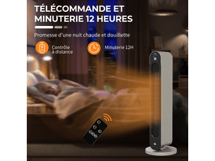 soufflant <strong></strong>  - 3 niveau(x) de puissance(s) 2200 watts
