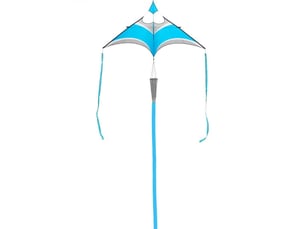 Cerf-volant hoffmanns canard delta aqua (vendu nu) invento