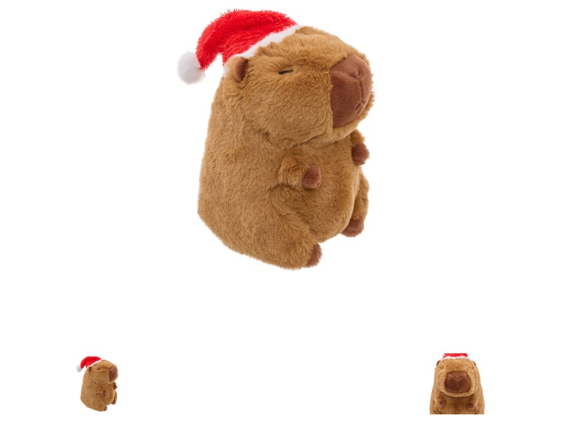 Peluche marron  - Conforama F