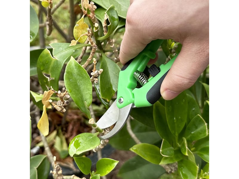  2 pièces secateur de jardin professionnel, sécateur a main avec poignées artificielles, sécateurs et ciseaux de jardinage  - Conforama D